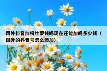 国外抖音加粉丝要钱吗现在还能加吗多少钱（国外的抖音号怎么添加）