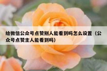 给微信公众号点赞别人能看到吗怎么设置（公众号点赞主人能看到吗）