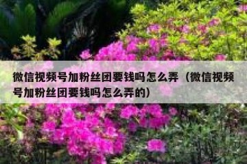 微信视频号加粉丝团要钱吗怎么弄（微信视频号加粉丝团要钱吗怎么弄的）