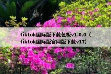 tiktok国际版下载色板v1.0.0（tiktok国际版官网版下载v17）
