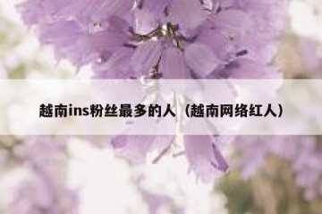 越南ins粉丝最多的人（越南网络红人）