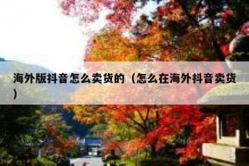 海外版抖音怎么卖货的（怎么在海外抖音卖货）