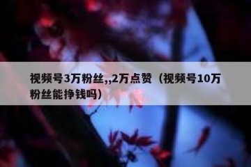 视频号3万粉丝,,2万点赞（视频号10万粉丝能挣钱吗）