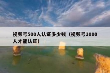 视频号500人认证多少钱（视频号1000人才能认证）