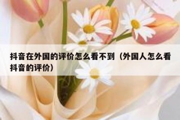 抖音在外国的评价怎么看不到（外国人怎么看抖音的评价）
