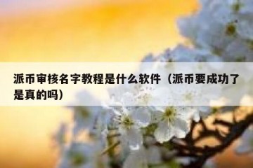 派币审核名字教程是什么软件（派币要成功了是真的吗）