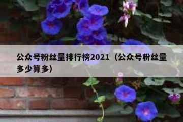 公众号粉丝量排行榜2021（公众号粉丝量多少算多）