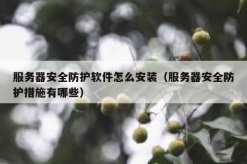 服务器安全防护软件怎么安装（服务器安全防护措施有哪些）