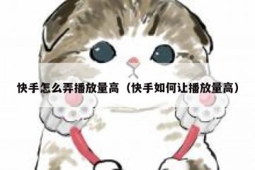 快手怎么弄播放量高（快手如何让播放量高）