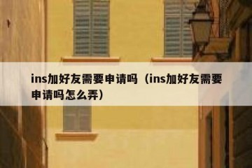 ins加好友需要申请吗（ins加好友需要申请吗怎么弄）