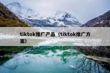 tiktok推广产品（tiktok推广方案）