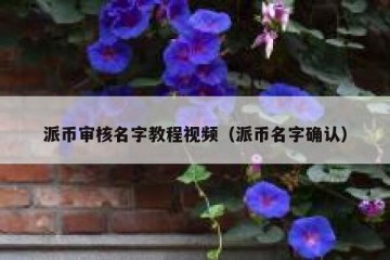 派币审核名字教程视频（派币名字确认）