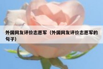 外国网友评价志愿军（外国网友评价志愿军的句子）