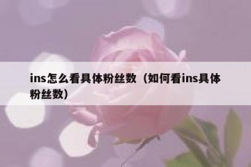 ins怎么看具体粉丝数（如何看ins具体粉丝数）