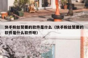 快手粉丝赞要的软件是什么（快手粉丝赞要的软件是什么软件呀）