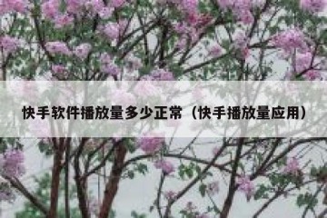 快手软件播放量多少正常（快手播放量应用）