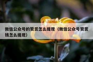 微信公众号的赞赏怎么提现（微信公众号赞赏钱怎么提现）
