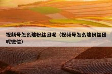 视频号怎么建粉丝团呢（视频号怎么建粉丝团呢微信）