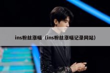 ins粉丝涨幅（ins粉丝涨幅记录网站）