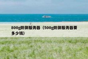 800g防御服务器（500g防御服务器要多少钱）