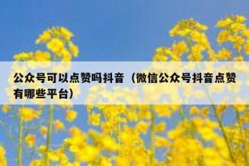 公众号可以点赞吗抖音（微信公众号抖音点赞有哪些平台）