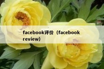 facebook评价（facebook review）