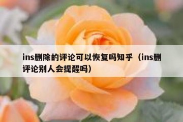 ins删除的评论可以恢复吗知乎（ins删评论别人会提醒吗）