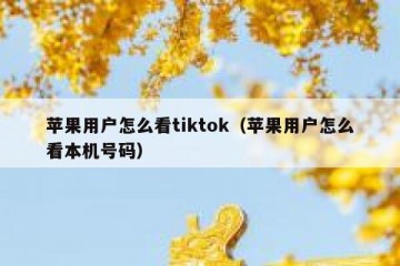 苹果用户怎么看tiktok（苹果用户怎么看本机号码）