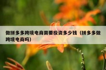 做拼多多跨境电商需要投资多少钱（拼多多做跨境电商吗）