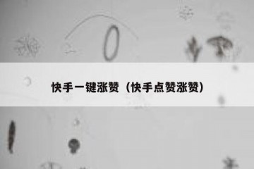 快手一键涨赞（快手点赞涨赞）