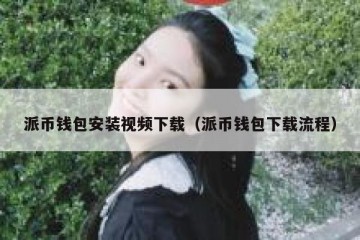 派币钱包安装视频下载（派币钱包下载流程）