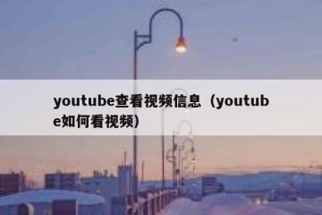 youtube查看视频信息（youtube如何看视频）