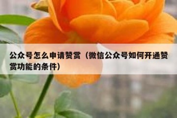 公众号怎么申请赞赏（微信公众号如何开通赞赏功能的条件）
