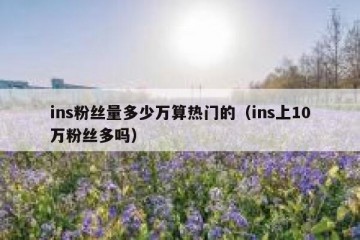 ins粉丝量多少万算热门的（ins上10万粉丝多吗）