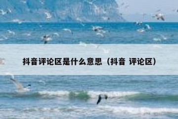 抖音评论区是什么意思（抖音 评论区）