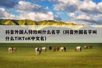 抖音外国人特效叫什么名字（抖音外国名字叫什么TiKToK中文名）