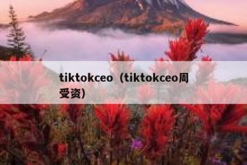 tiktokceo（tiktokceo周受资）