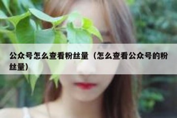 公众号怎么查看粉丝量（怎么查看公众号的粉丝量）