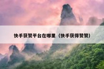 快手获赞平台在哪里（快手获得赞赞）