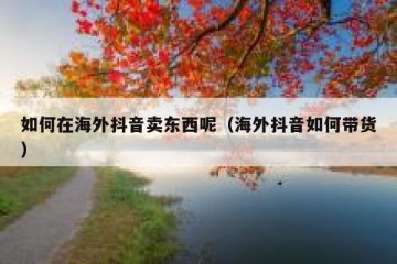 如何在海外抖音卖东西呢（海外抖音如何带货）