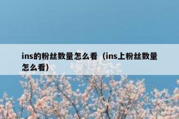 ins的粉丝数量怎么看（ins上粉丝数量怎么看）