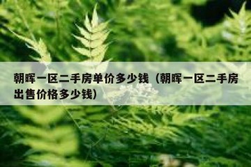 朝晖一区二手房单价多少钱（朝晖一区二手房出售价格多少钱）