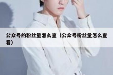 公众号的粉丝量怎么查（公众号粉丝量怎么查看）