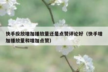 快手投放增加播放量还是点赞评论好（快手增加播放量和增加点赞）