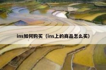 ins如何购买（ins上的商品怎么买）