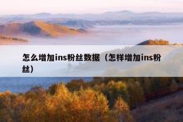 怎么增加ins粉丝数据（怎样增加ins粉丝）