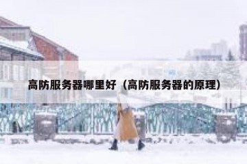 高防服务器哪里好（高防服务器的原理）