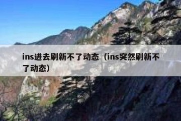 ins进去刷新不了动态（ins突然刷新不了动态）