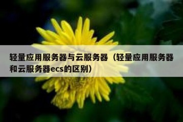 轻量应用服务器与云服务器（轻量应用服务器和云服务器ecs的区别）