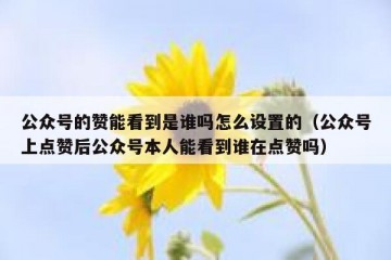 公众号的赞能看到是谁吗怎么设置的（公众号上点赞后公众号本人能看到谁在点赞吗）